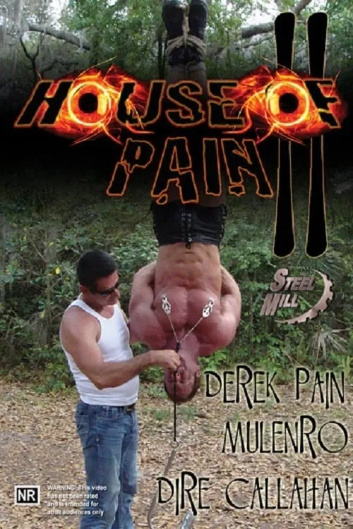 House of Pain 2 (фильм)