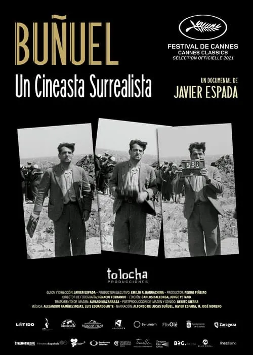 Buñuel, un cineasta surrealista (фильм)