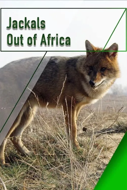 Jackals - Out of Africa (movie)