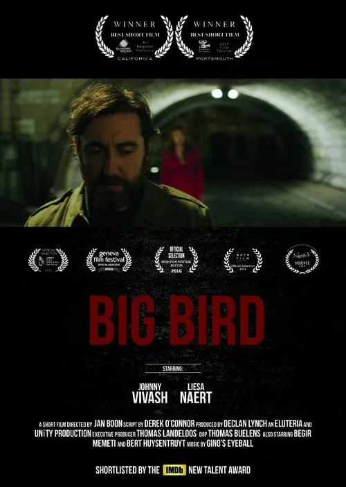 Big Bird (movie)