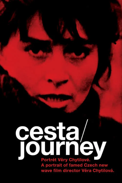 Journey: Portrait of Věra Chytilová (movie)