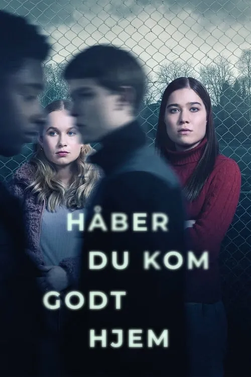 Håber du kom godt hjem (сериал)