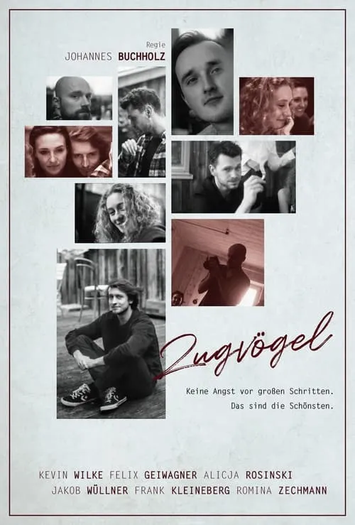 Zugvögel (movie)