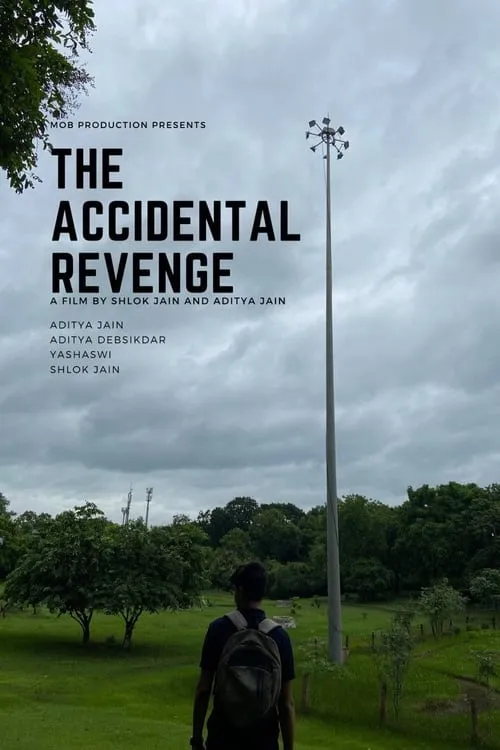 The Accidental Revenge (movie)