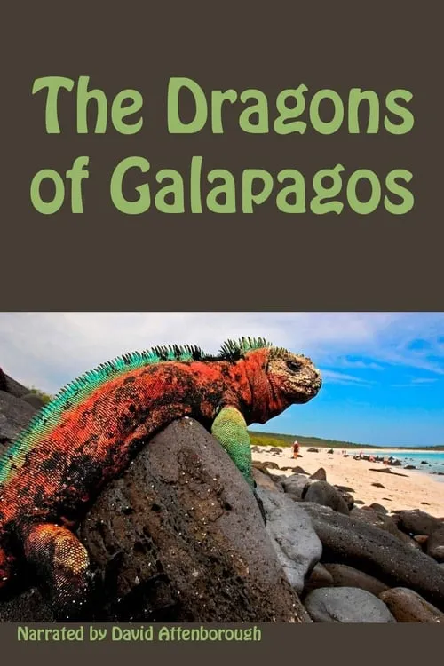 The Dragons of Galapagos (movie)