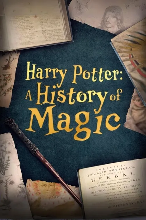 Harry Potter: A History Of Magic (movie)