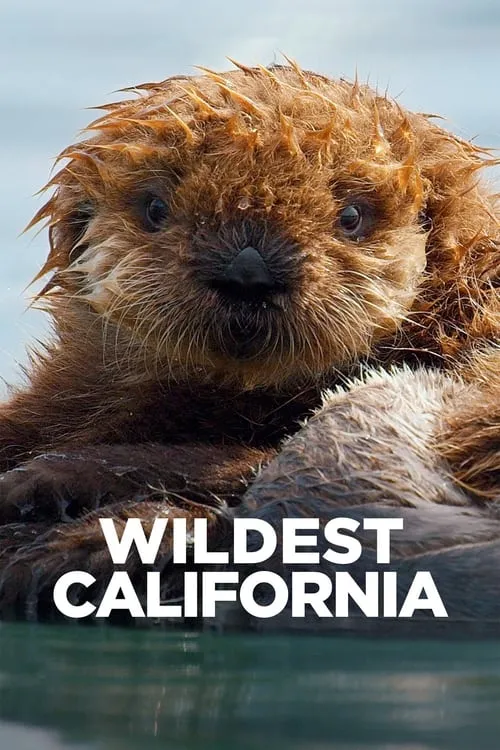 Wildest California (фильм)