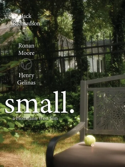 small (movie)