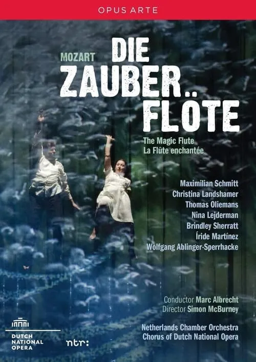 Mozart: The Magic Flute (movie)