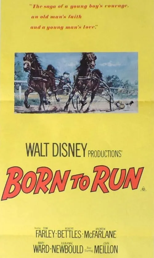 Born to Run (movie)