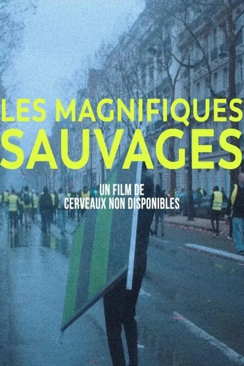 Les Magnifiques sauvages (фильм)