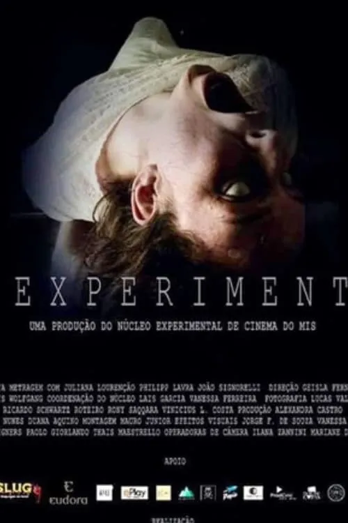 The Experiment (movie)