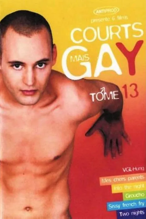 Courts mais Gay : Tome 13 (movie)