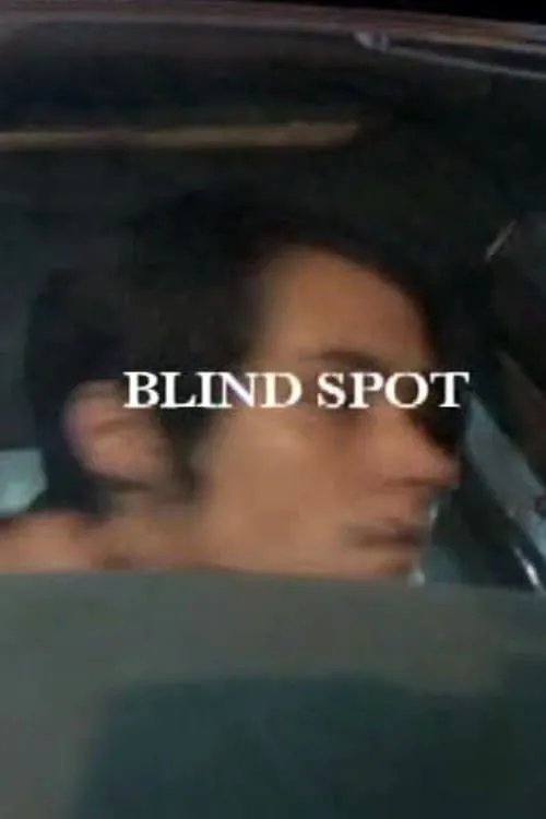 Blind Spot (movie)