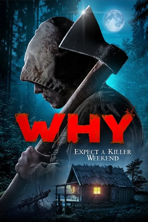 Why? (movie)