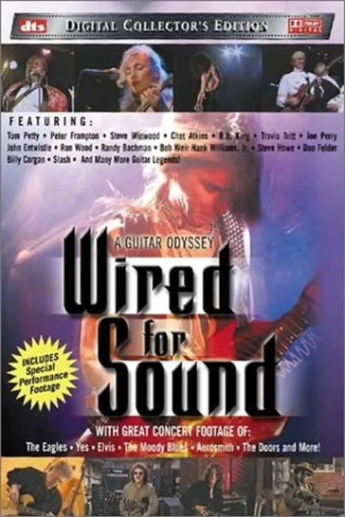 Wired for Sound: A Guitar Odyssey (фильм)