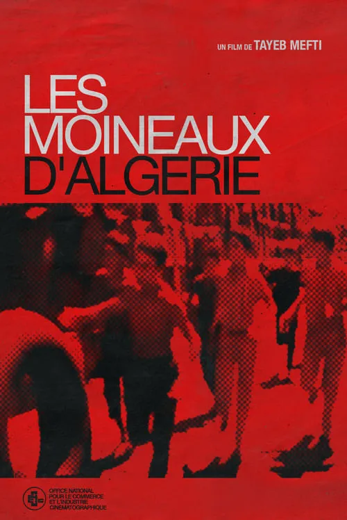 Les Moineaux d'Algérie