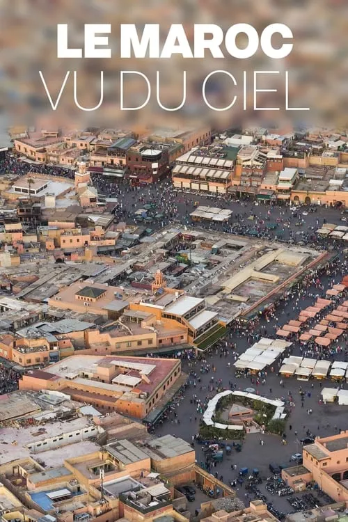 Le Maroc vu du ciel (фильм)