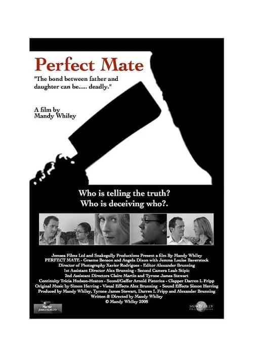 Perfect Mate (фильм)