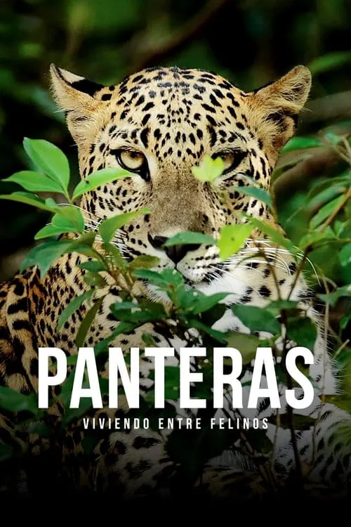 Panteras: viviendo entre felinos (фильм)