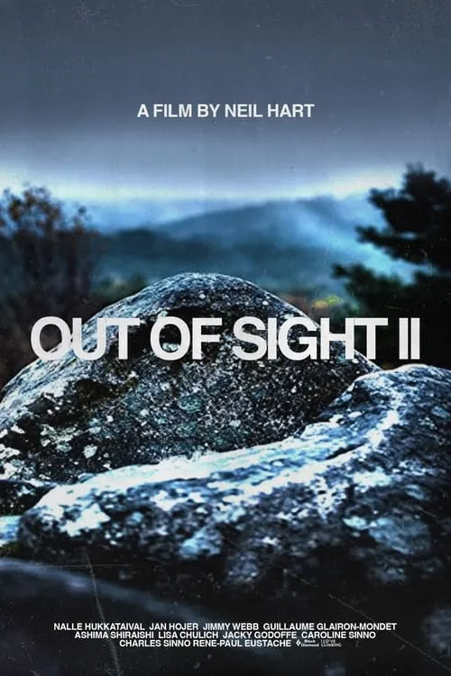 Out of Sight II (movie)