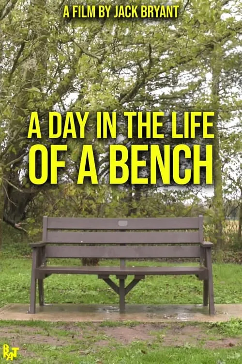 A Day in the Life of a Bench