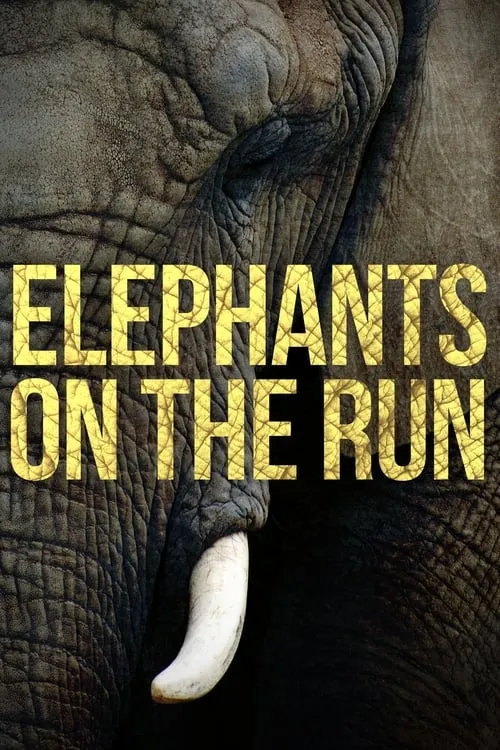 Elephants on the Run (movie)