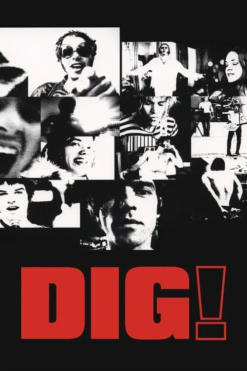 Dig! (фильм)