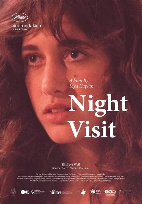 Night Visit (movie)