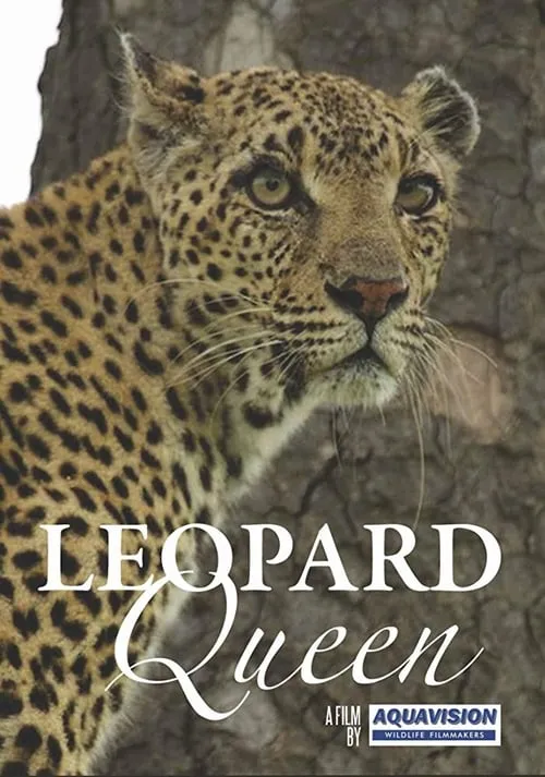 Leopard Queen (фильм)