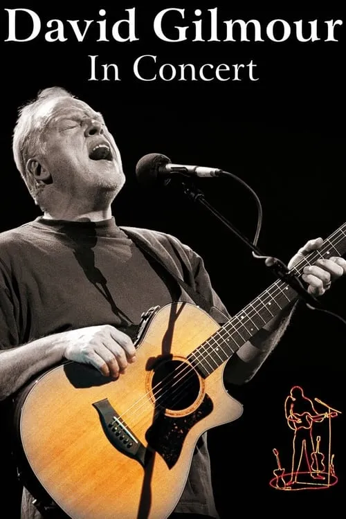 David Gilmour: In Concert (movie)