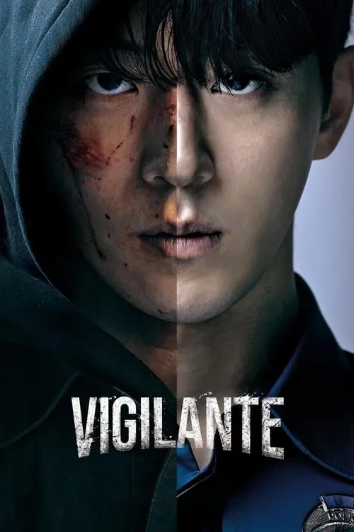 Vigilante (series)