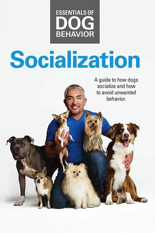 Essentials of Dog Behavior: Socialization (фильм)