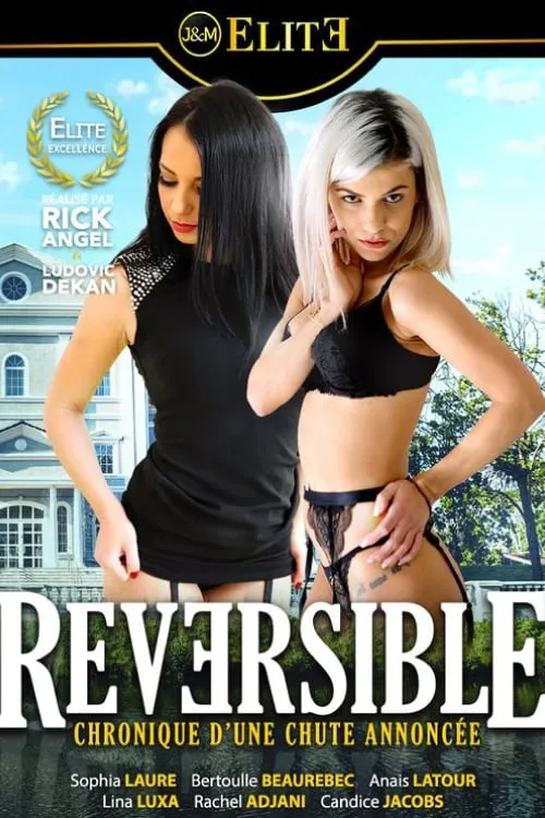 Reversible (movie)