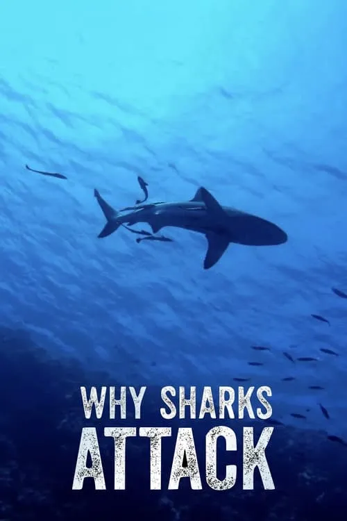 Why Sharks Attack (фильм)