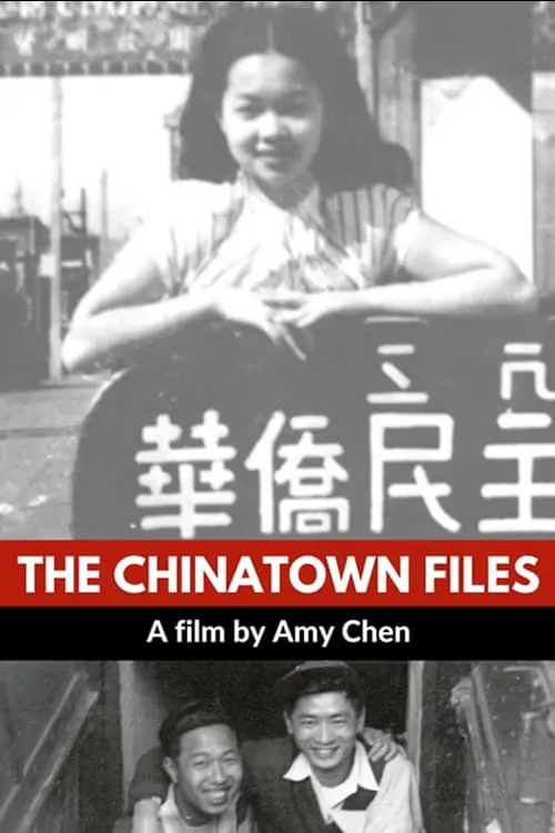 The Chinatown Files (movie)