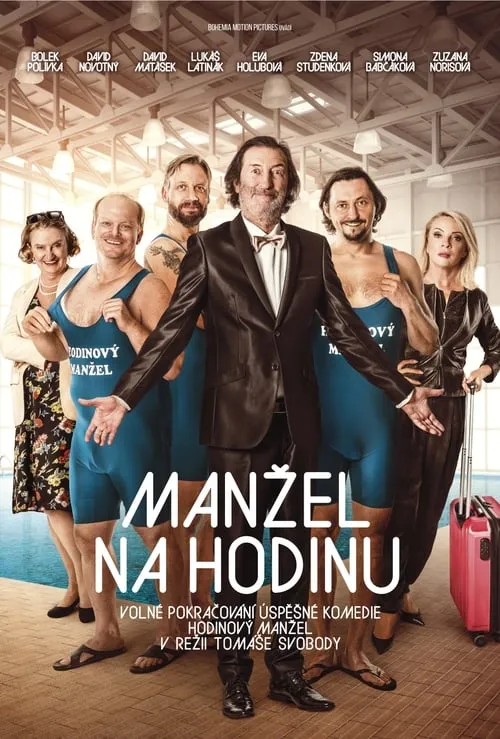 Manžel na hodinu (movie)