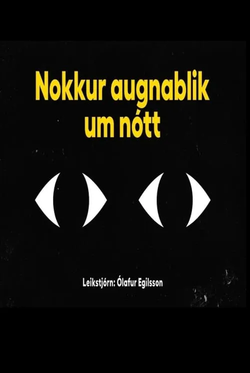 Nokkur augnablik um nótt (фильм)