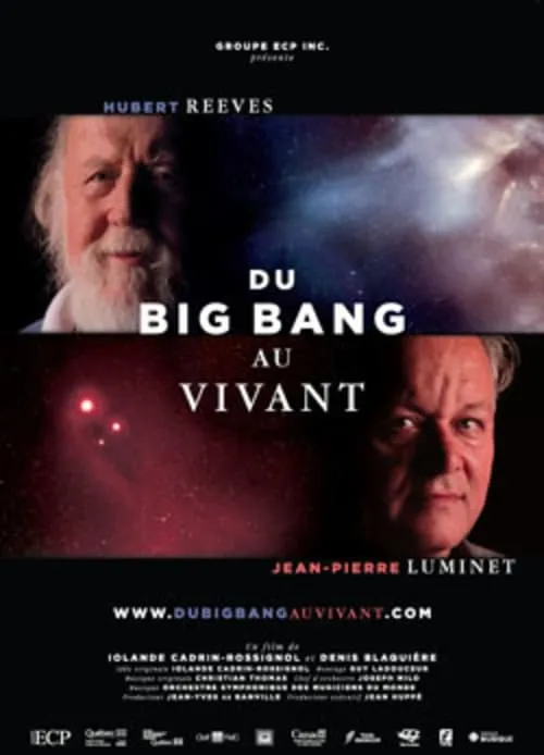 Du Big Bang au Vivant (movie)