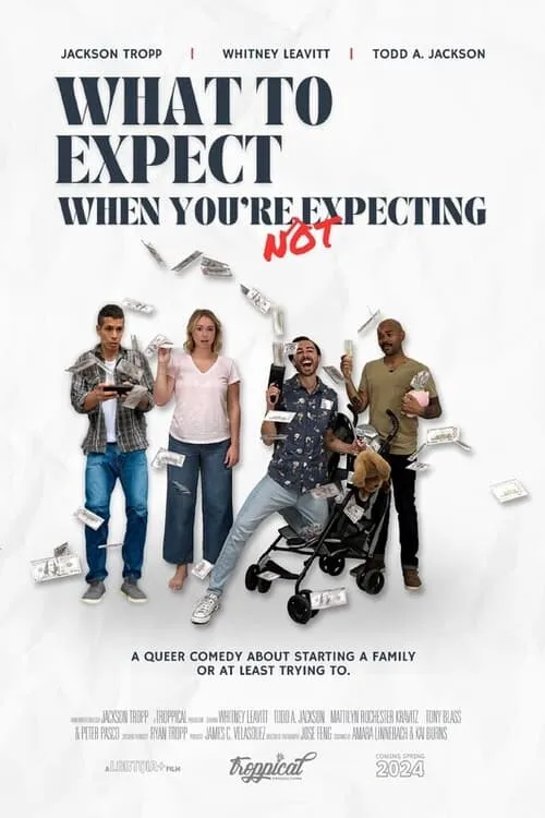 What to Expect When You're Not Expecting (фильм)