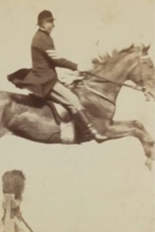 Horse and Rider Jumping Over an Obstacle