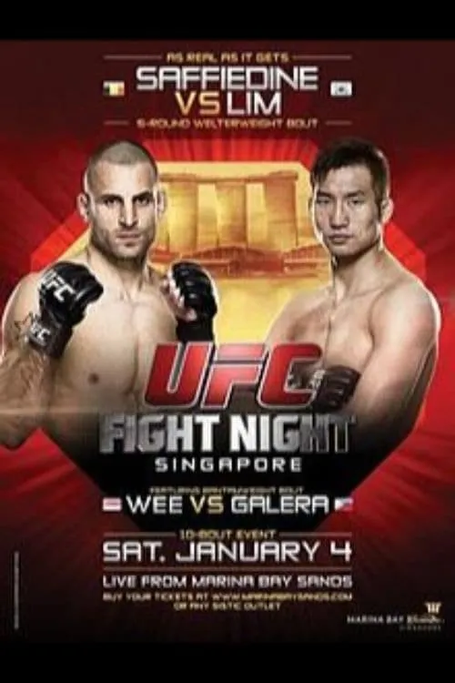 UFC Fight Night 34: Saffiedine vs. Lim (фильм)