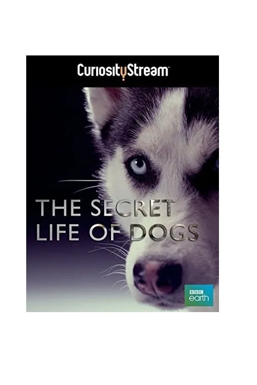 The Secret Life of Dogs (movie)