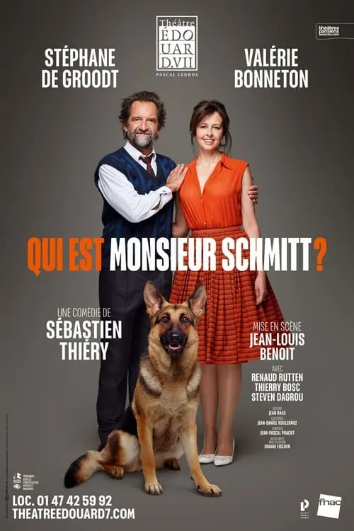 Qui est Monsieur Schmitt ? (movie)