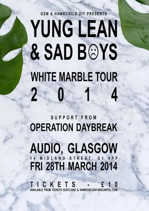 Sadboys: White Marble Tour 2014 (movie)