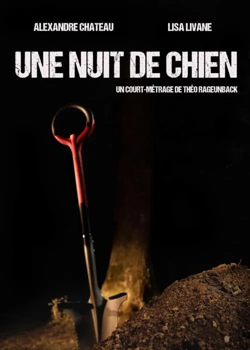 Une nuit de chien (movie)