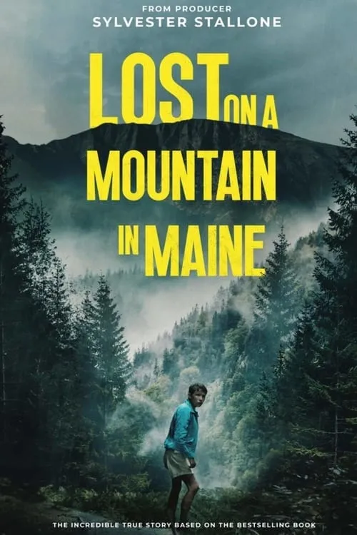 Lost on a Mountain in Maine (фильм)