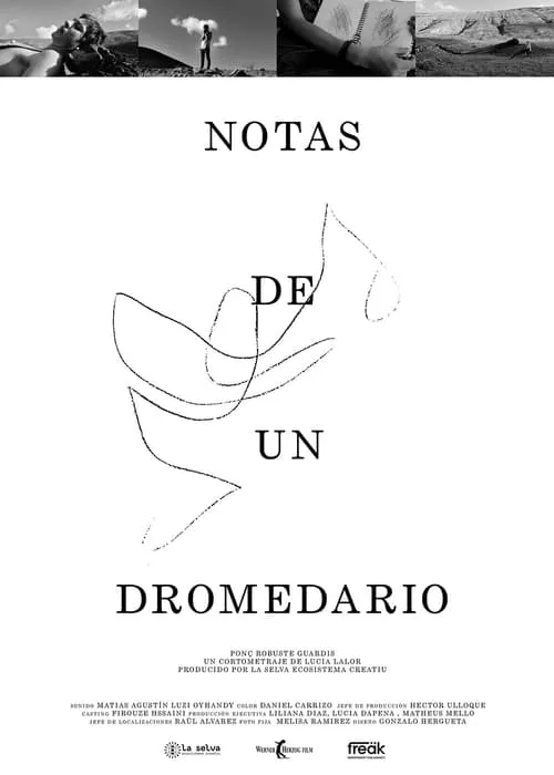 Notas de un Dromedario