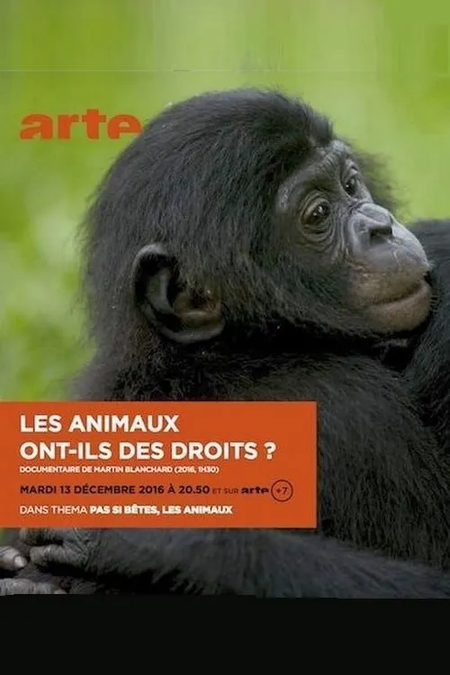 Les animaux ont ils des droits? (фильм)