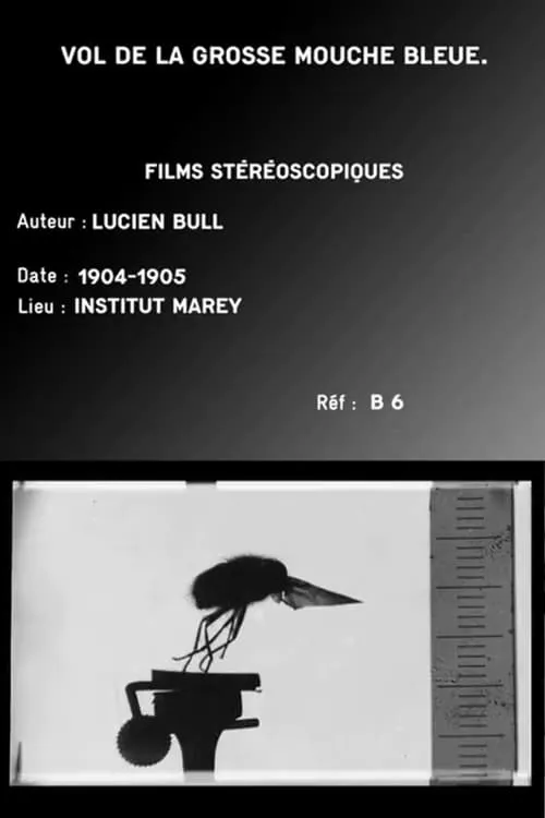 Series 1 (insect flights) (movie)